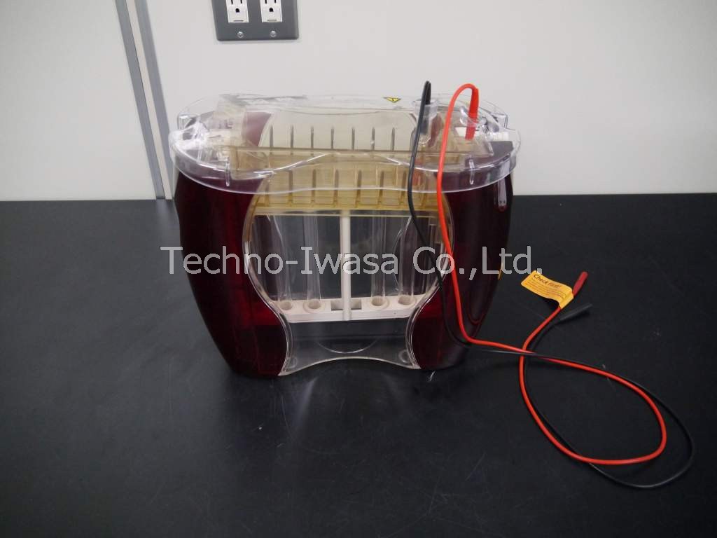 �d�C�j�����u