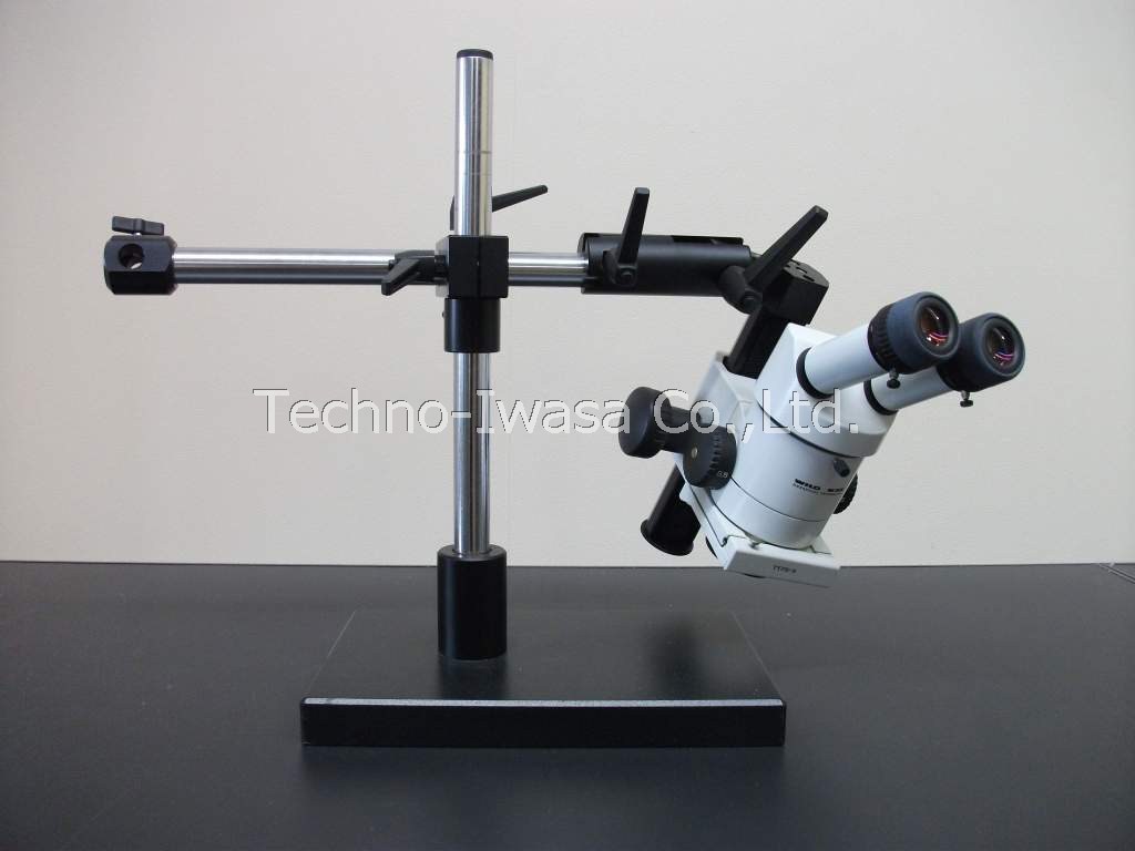 ���̌�����