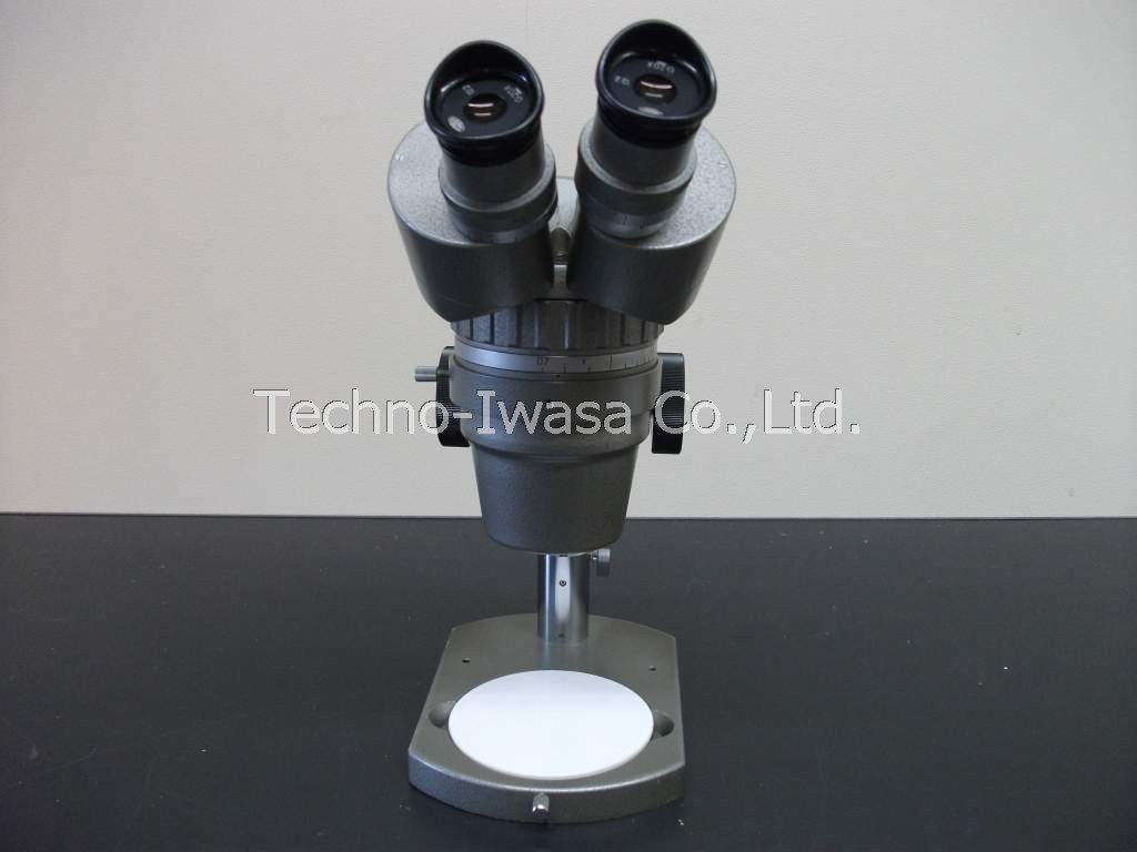 ���̌�����