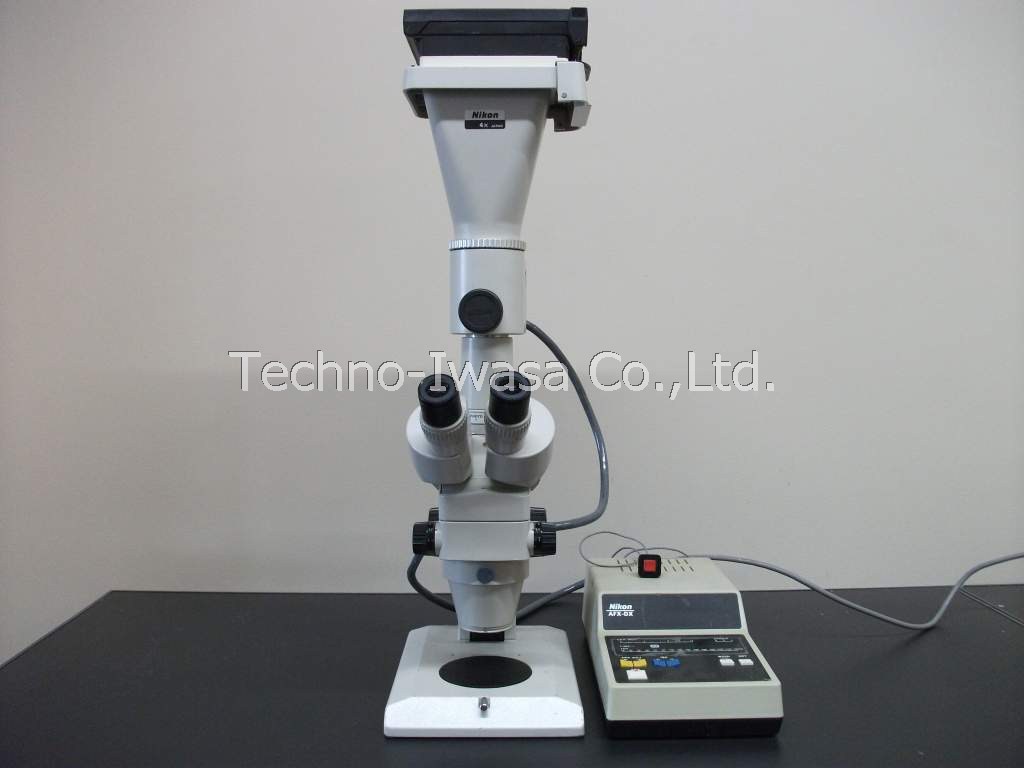 ���̌�����