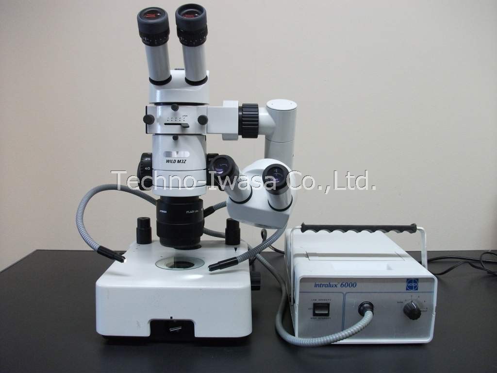 ������ި�����ݎ��̌�����