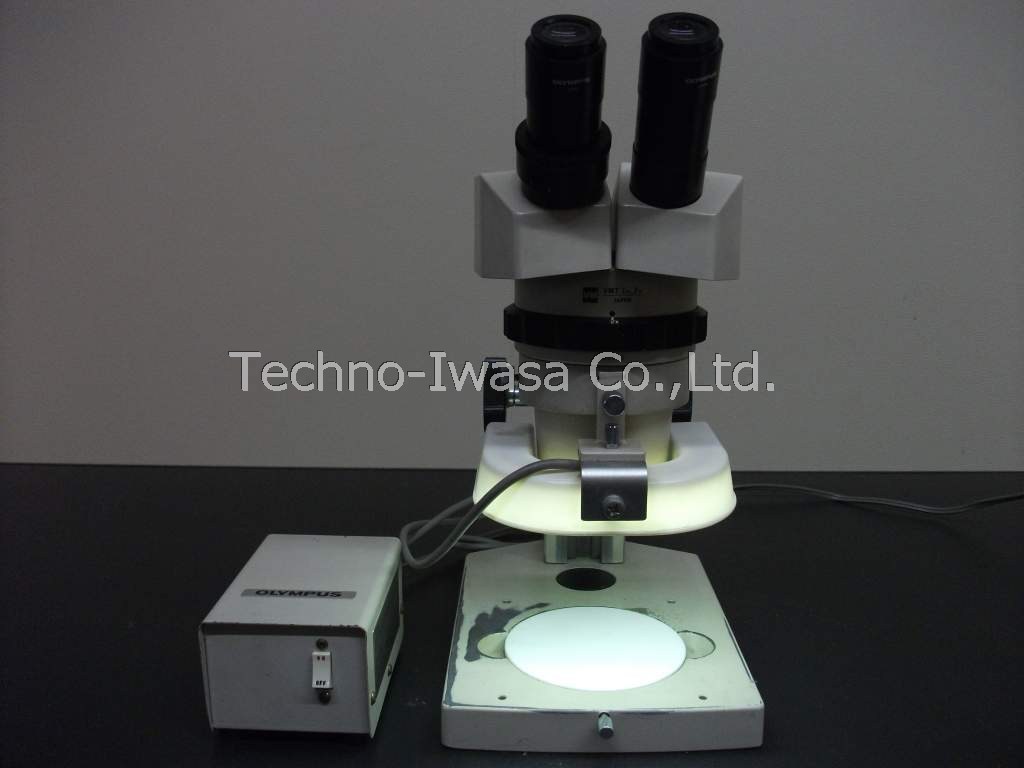 ���̌�����