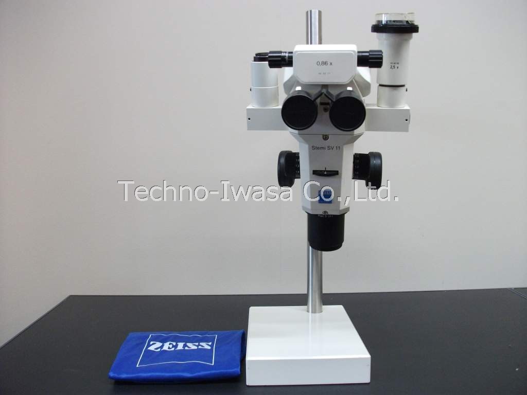 ���̌�����